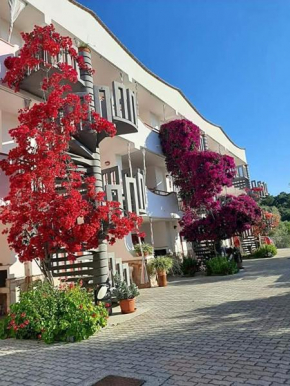 Residence Jolly Peschici